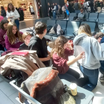 No aeroporto